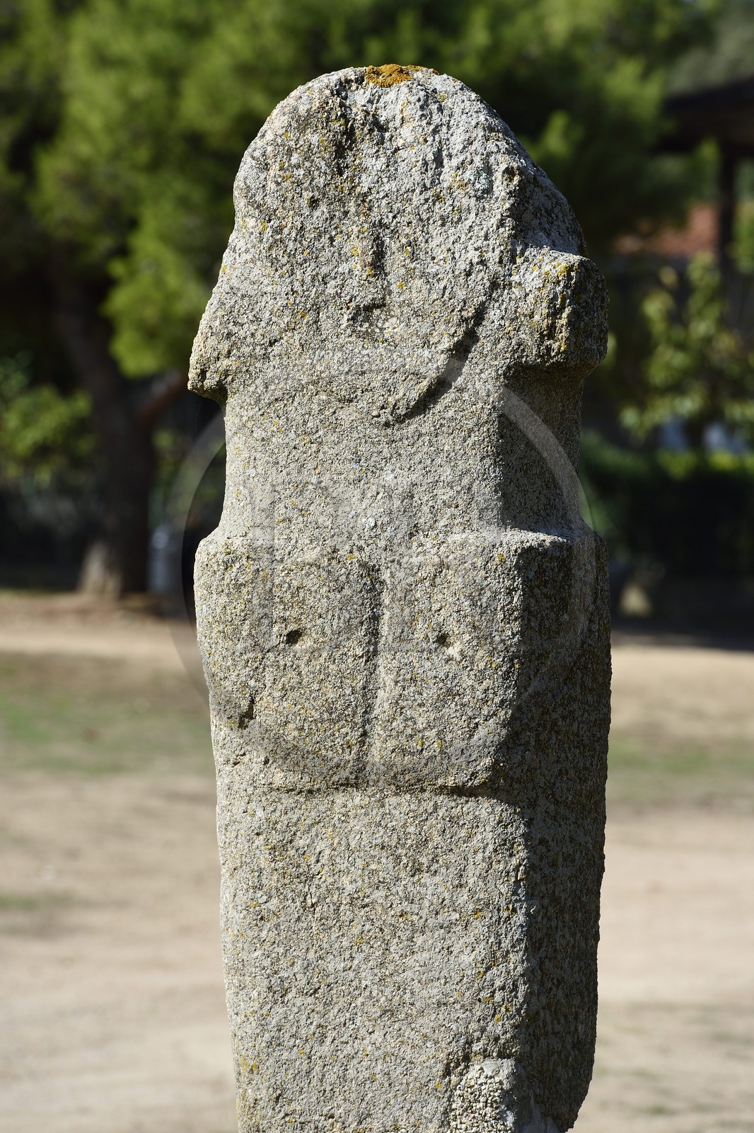 France, Corse-du-Sud (2A), Cargèse, menhir sculpté d'U Scumunicatu, pierre dressée datée approximativement 2500 avant Jésus-Christ