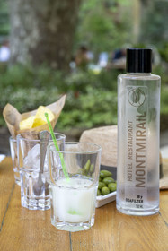 France, Vaucluse (84), Dentelles de Montmirail, Gigondas, grand hôtel-restaurant de Montmirail, pastis Henri Bardouin issu d'un assemblage de plus de 65 plantes et épices