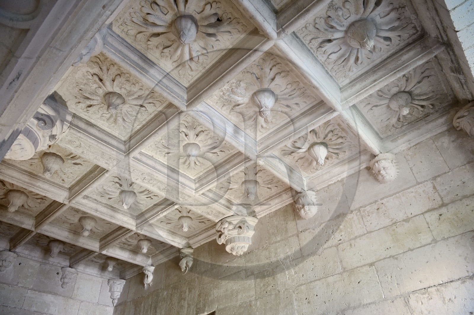 France, Dordogne (24), Périgord Vert, Villars, château de Puyguilhem, plafond à caissons du vestibule du premier étage orné de fleurs de chardons et de salamandres