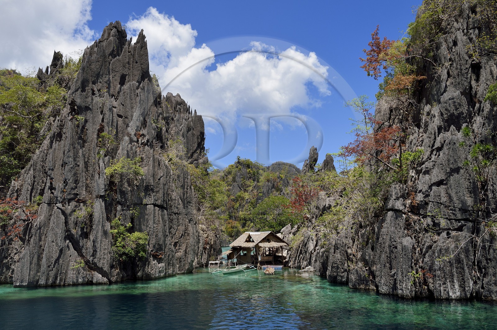 Philippines, Calamian Islands dans le nord de Palawan, Coron Island Natural Biotic Area, lagon et falaises de calcaire du Permien d'origine jurassique