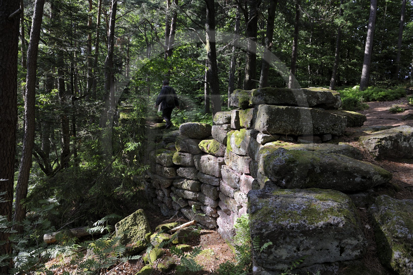 France, Bas-Rhin (67), le Mont Saint-Odile, le mur païen