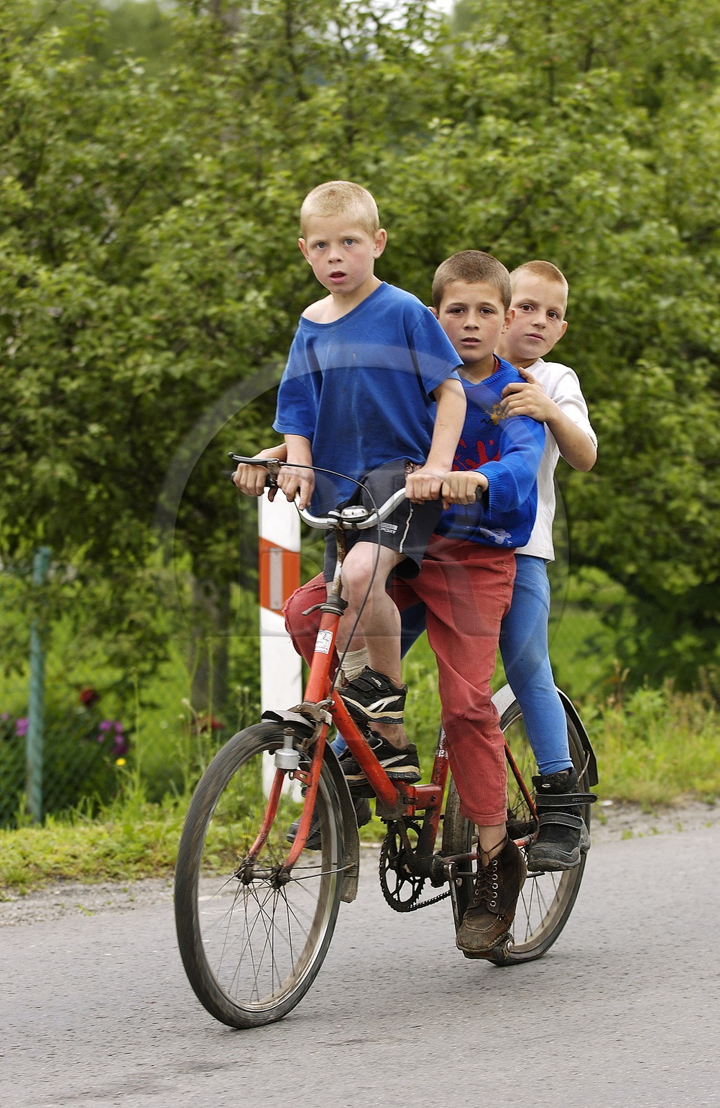 Pologne, Précarpates, enfants sur une bicyclette