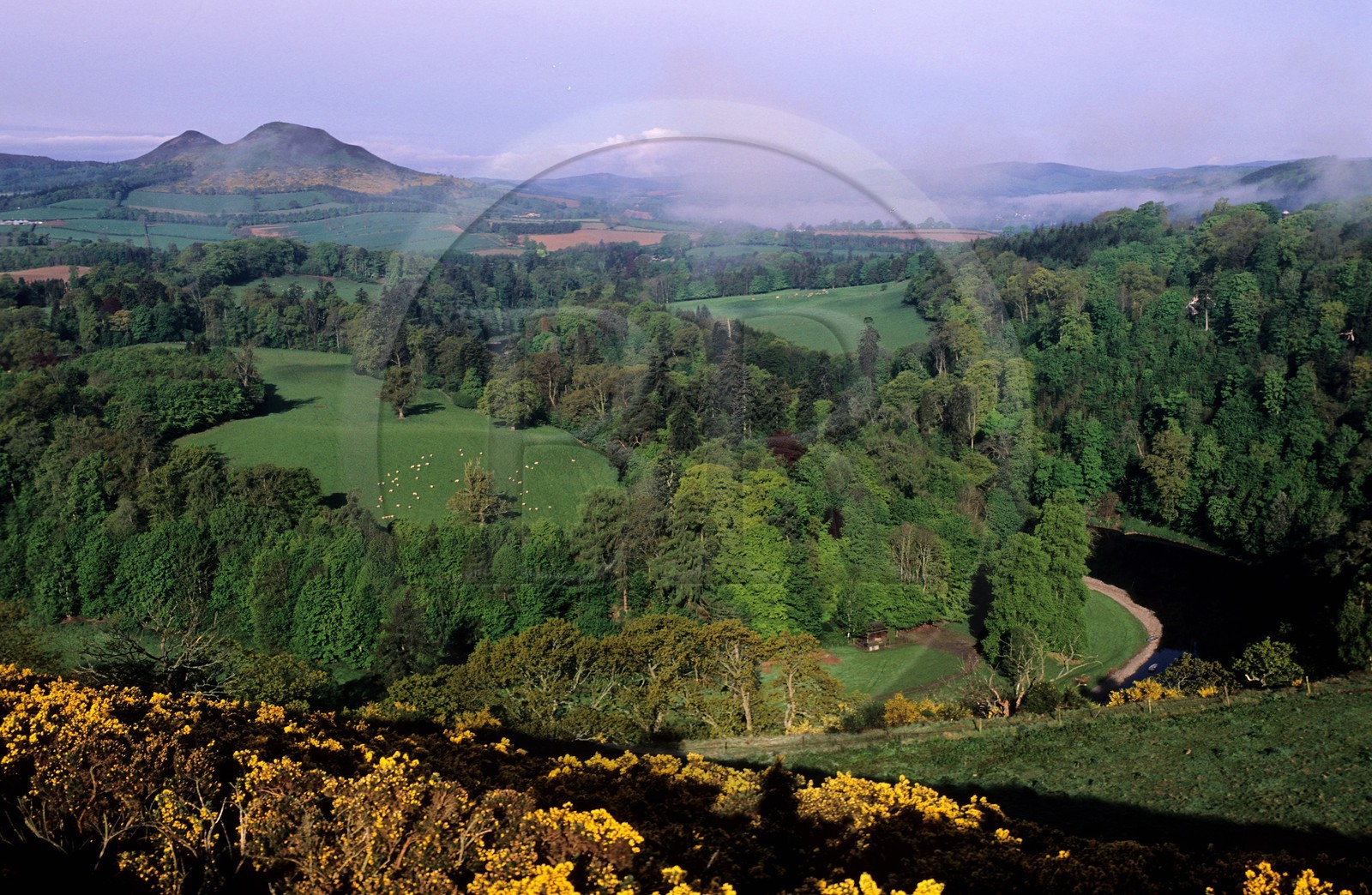 Royaume-Uni, Ecosse, région des Borders, vers Dryburgh, panorama du Scott's View de Sir Walter Scott sur la rivière Tweed