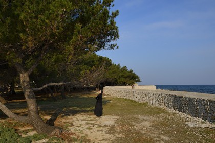 Croatie, Dalmatie, côte dalmate, Ile d’Ugljan, couvent franciscain Saint-Jérôme de la congrégation des Filles de la Miséricorde, sœur Theresija dans le jardin en bordure de mer