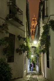 Espagne, Andalousie, Cordoue, centre historique classé Patrimoine Mondial de l'UNESCO, quartier de la Juderia, la calleja de las flores et le minaret de la Mezquita (la Mosquée-Cathédrale) en arrière plan