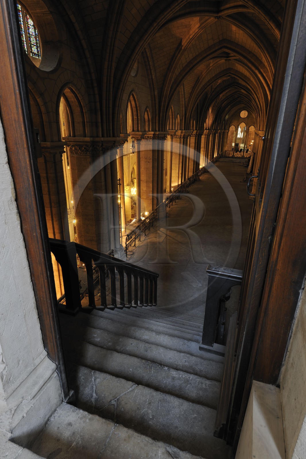 France, Paris (75), Ile de la Cité, cathédrale Notre-Dame de Paris, tribune sud