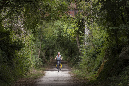 France, Charente-Maritime (17), Saint-Agnan, cycliste sur la véloroute dans le Bois du Chay en direction de l'abbaye de Trizay