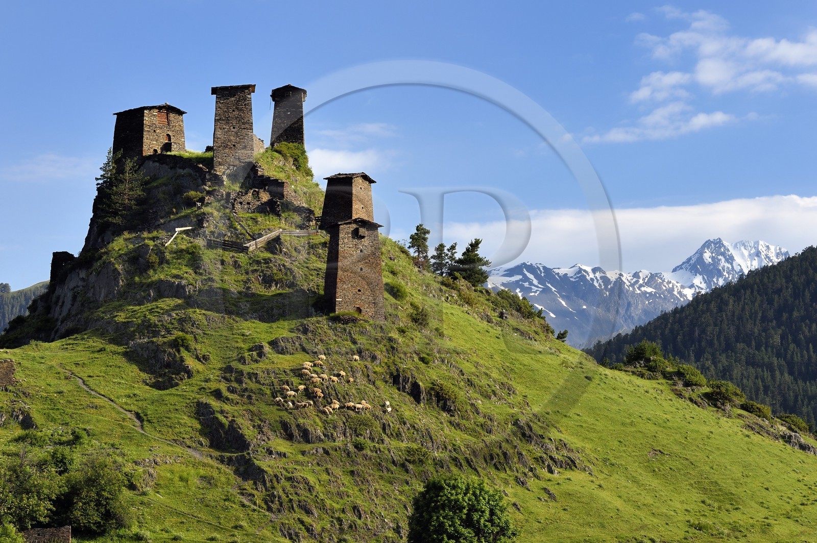 Géorgie, Kakheti, Parc national de Touchétie, Omalo, la forteresse de Keselo de Zemo (haut) Omalo a servi de refuge aux habitants en temps de guerre, tours fortifiées médiévales