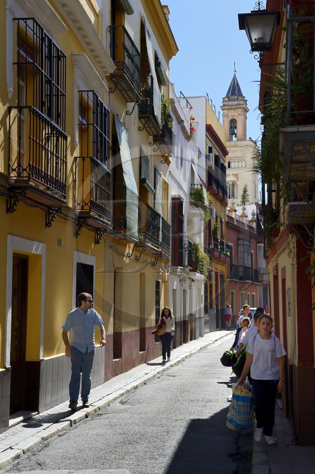 Espagne, Andalousie, Séville, calle San Luis et l'église San Marcos