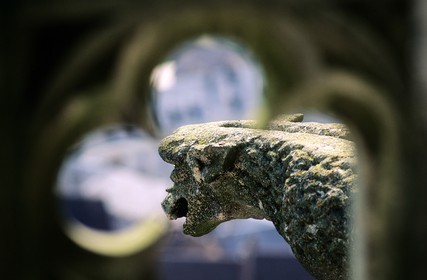 France, Eure-et-Loir (28), Chartres, cathédrale Notre-Dame de Chartres classée Patrimoine Mondial de l' UNESCO, une gargouille de la tour nord