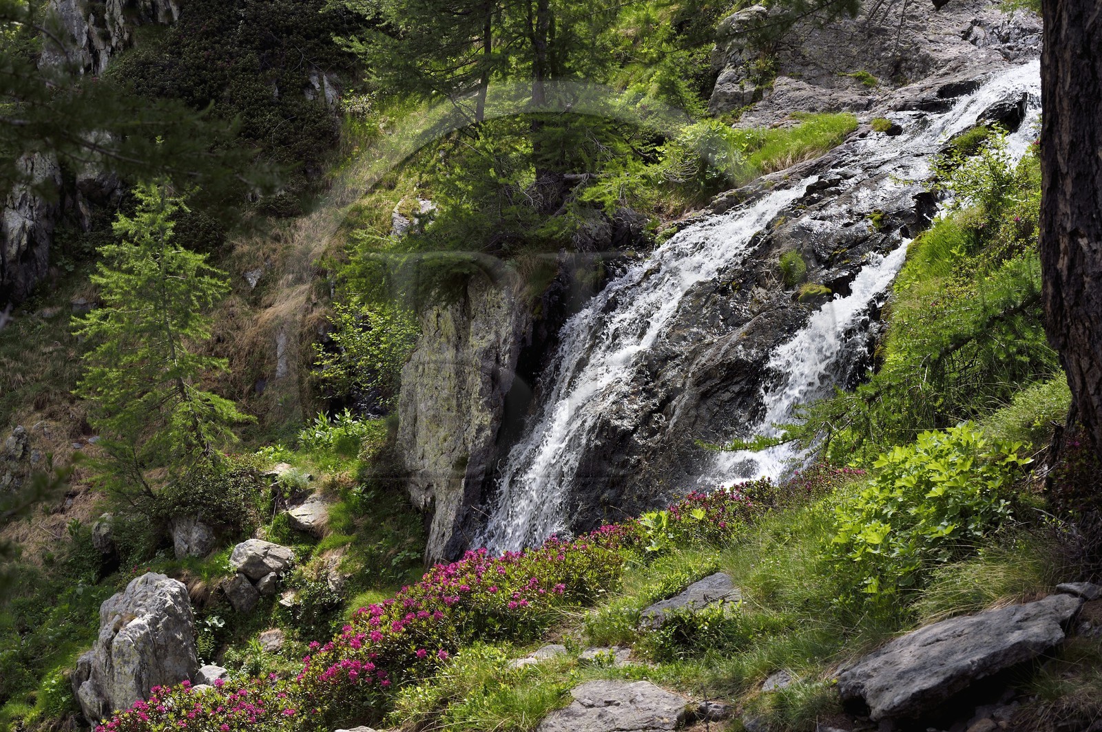France, Alpes-Maritimes (06), parc national du Mercantour, vallée de la Valmasque, cascade du verrou glaciaire