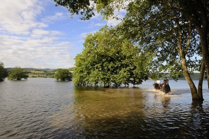 France, Nièvre (58), lac de Pannecière, découverte équestre du lac