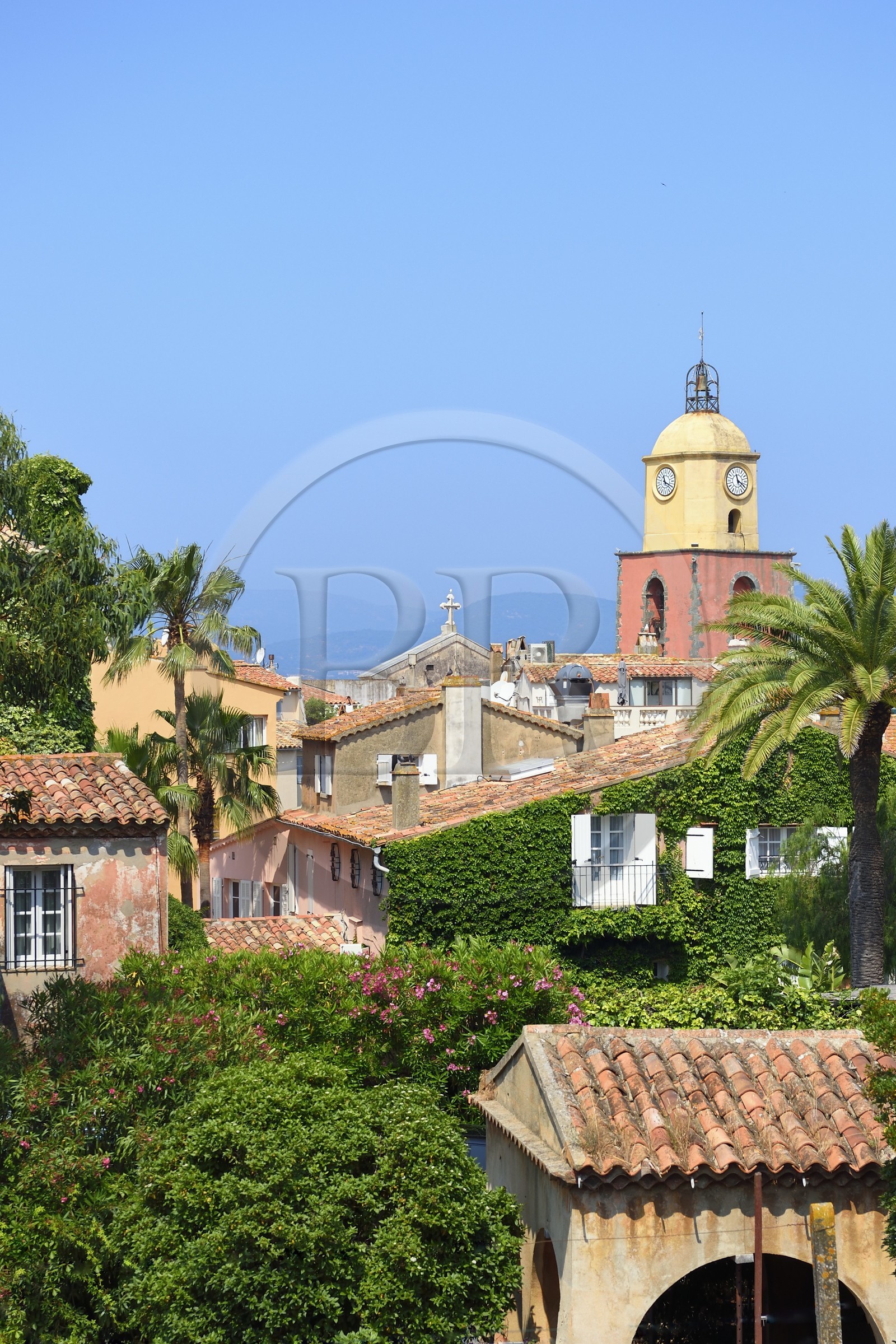 France, Var (83), Saint-Tropez,  église paroissiale Notre-Dame de l'Assomption depuis la citadelle