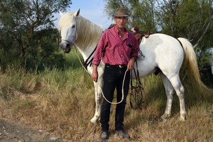 France, Bouches-du-Rhône (13), Parc naturel régional de Camargue, manade Jacques Mailhan, le gardian Christophe Prezet et son cheval camarguais