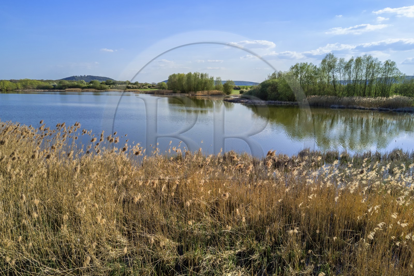 France, Meuse (55), Parc régional de Lorraine, Cotes de Meuse, Heudicourt-sous-les-Côtes, lac de la Madine (vue aérienne)