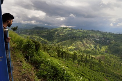 Sri Lanka, Province du Centre, trajet en train dans la région montagneuse de la culture du thé entre Hatton et Badulla, ici entre Great Western et Raddalla, passager accroché aux portières observant les plantations de thé