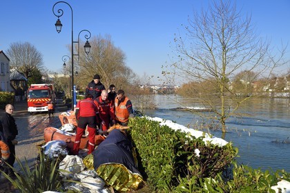 France, Val-de-Marne (94), les bords de Marne, Le Perreux-sur-Marne, une vache de type Highland Cow sauvée de la noyade dans la Marne par les pompiers