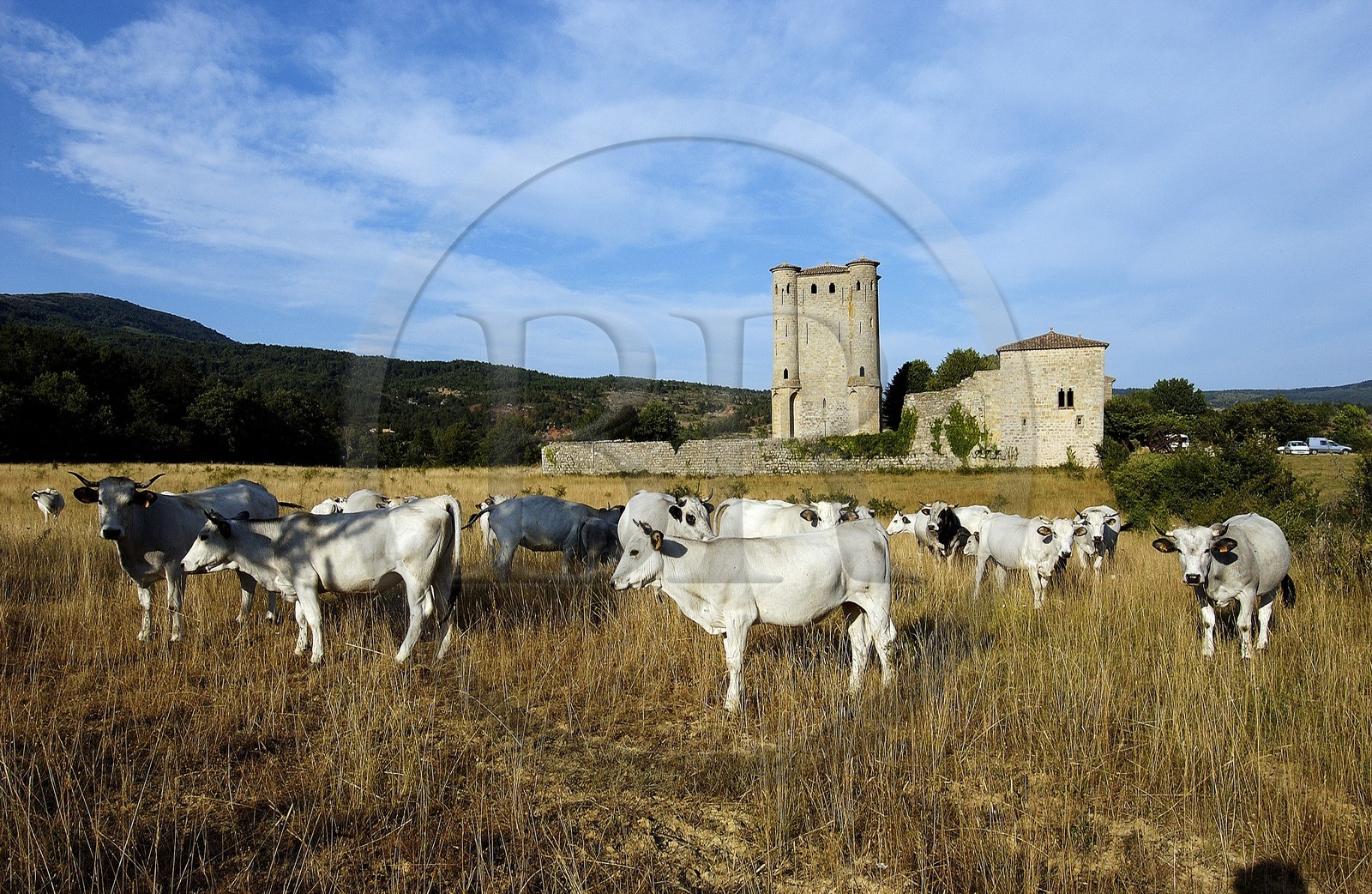 France, Aude (11), Donjon d'Arques (13 14