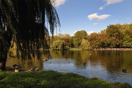 Royaume-Uni, Londres, Cité de Westminster, le lac de  St James's Park
