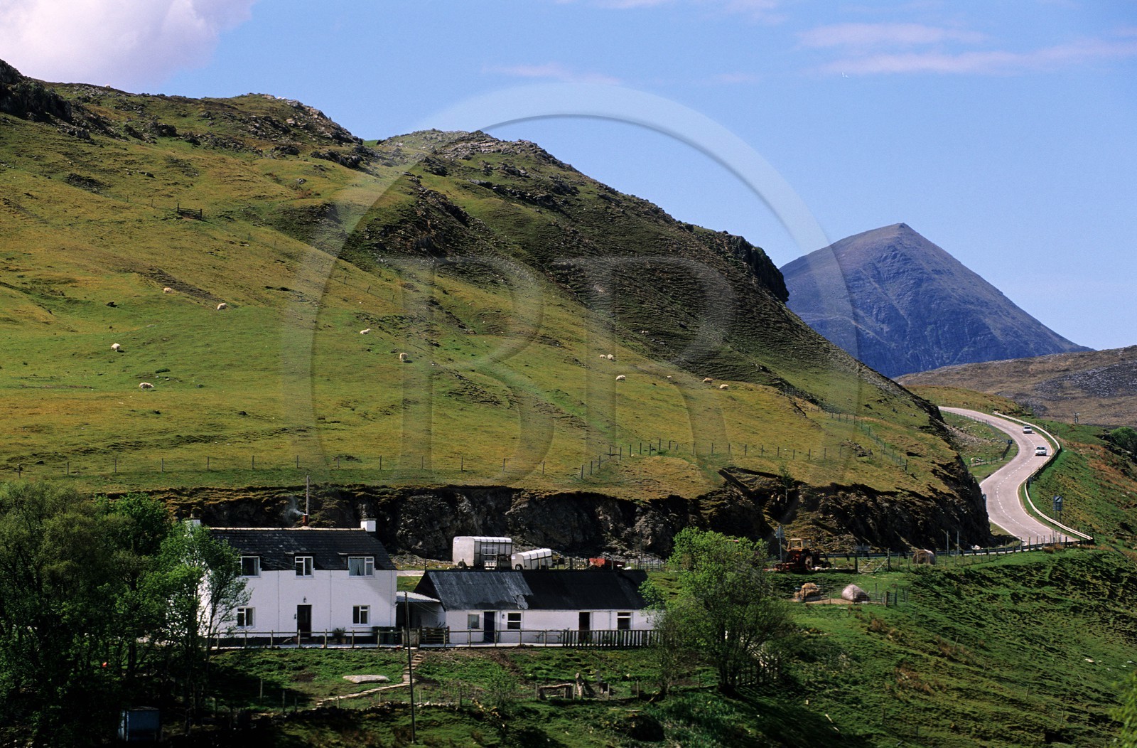 Royaume-Uni, Ecosse, région des Highlands, Sutherland, région du Mont Ben More Assynt
