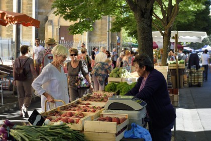 France, Dordogne (24), Périgord Pourpre, Bergerac, marché au pied de l'église Notre Dame
