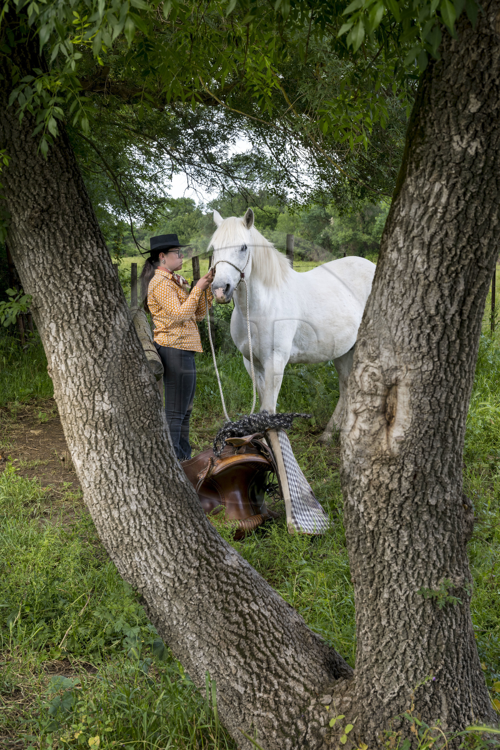 France, Gard (30), Saint-Gilles du Gard, manade Pierre Aubanel & fils, gardian bénévole au féminin Marie Allard préparant un cheval camarguais