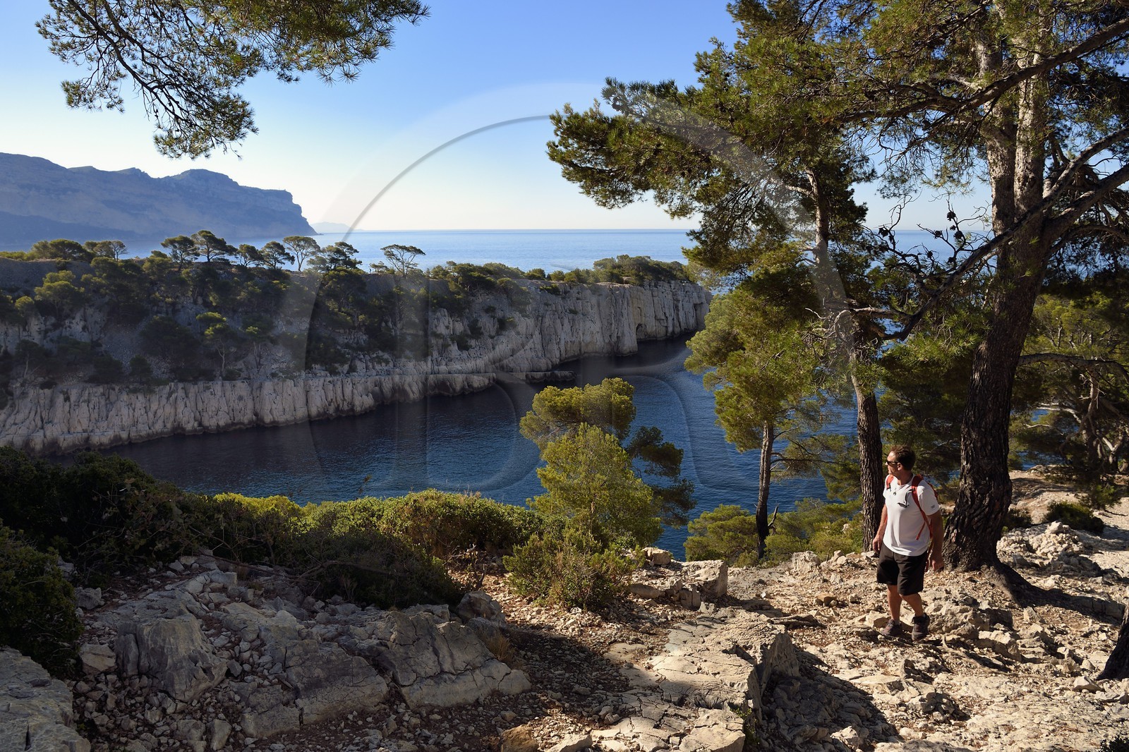 France, Bouches-du-Rhône (13), Cassis, Parc national des Calanques, Calanque de Port-Miou et les falaises du Cap Canaille en arrière plan, André Bernard fondateur du bureau des guides de Cassis en randonnée (demande d'autorisation nécessaire avant publication)