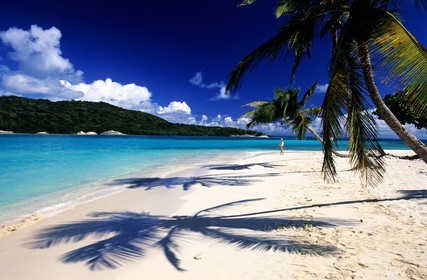 Caraïbes, Saint-Vincent et les Grenadines, archipel des Tobago Cays, plage d'une petite île inhabitée