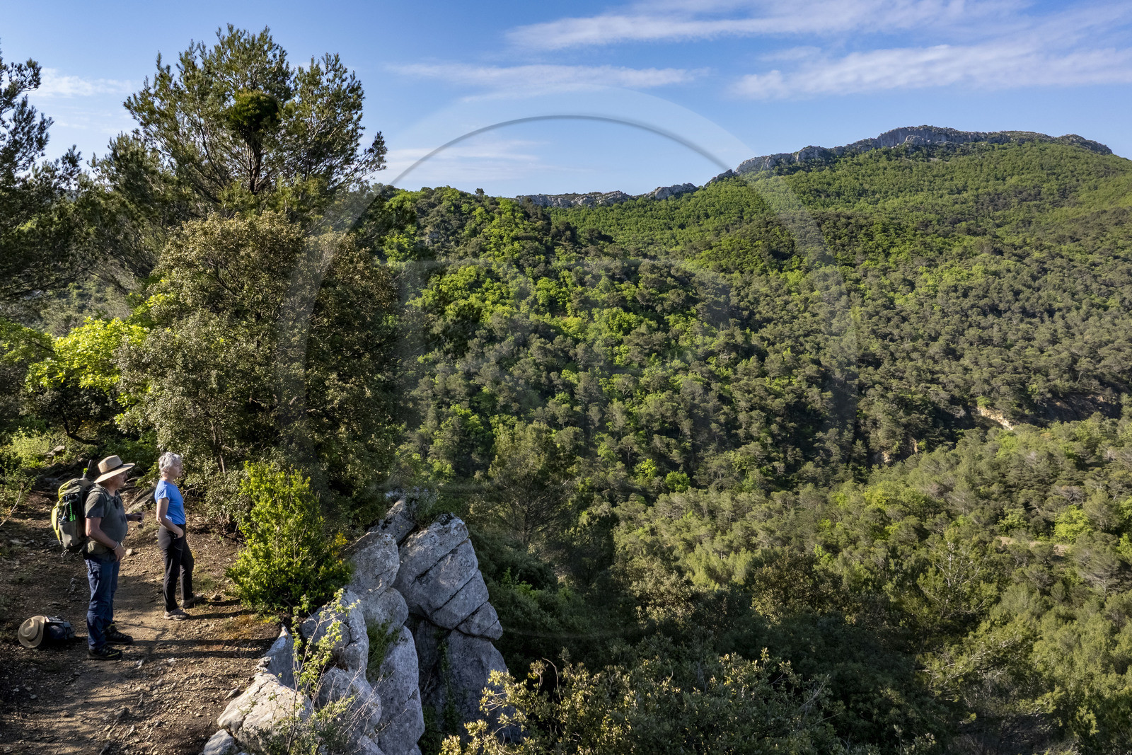 France, Vaucluse (84), Dentelles de Montmirail, Crestet, la crête de Saint-Amand vue du Sud depuis le GR de Pays vers la Croix de Verrière (vue aérienne)