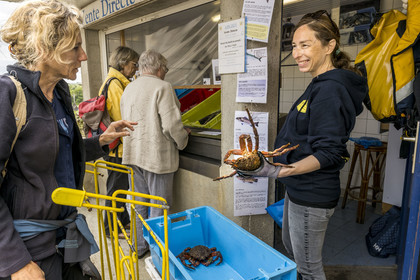 France, Finistère (29), Mer d'Iroise, Ile d'Ouessant, le bourg de Lampaul, Ondine Morin guide conférencière et pêcheur devant son étal de poissons et crustacés