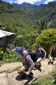 Philippines, province d'Ifugao, randonnée dans les rizières en terrasses de Banaue autour du village de Batad, classées Patrimoine Mondial de l'UNESCO