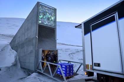 Norvège, Svalbard, Spitzberg, Longyearbyen, la Réserve mondiale de semences du Svalbard (banque de graines du Global Seed Vault) permet une sauvegarde de sécurité pour les collections existantes de banques de gènes, livraison des semences par NordGen