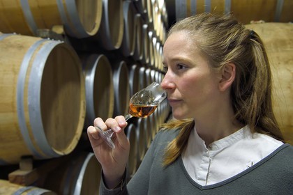 France, Charente (16), Sireuil, Distillerie des Moisans, dans les chais de vieillissement et d'assemblages, la responsable du développement des activités commerciales Laurette Didière sent le cognac