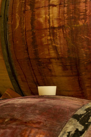 France, Côte-d'Or (21), Paysage culturel des climats de Bourgogne classés Patrimoine Mondial de l'UNESCO, Route des Grands Crus, vignoble de la Côte de Nuits, Morey-Saint-Denis, Domaine Amiot et fils, futs de vin