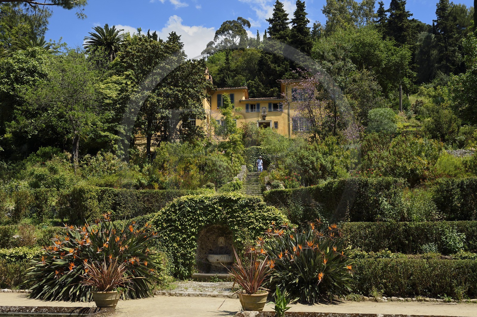 France, Alpes-Maritimes (06), Menton, le jardin Serre de la Madone et la villa du major Lawrence Johnston