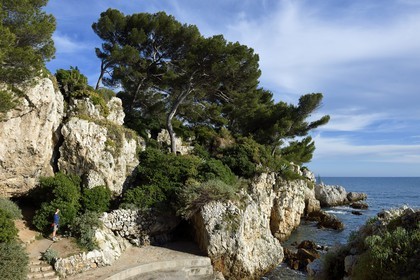 France, Alpes-Maritimes (06), Antibes, Cap d'Antibes, le sentier du Littoral Tire-poil (ou chemin des douaniers) à l'Anse de l'Argent Faux