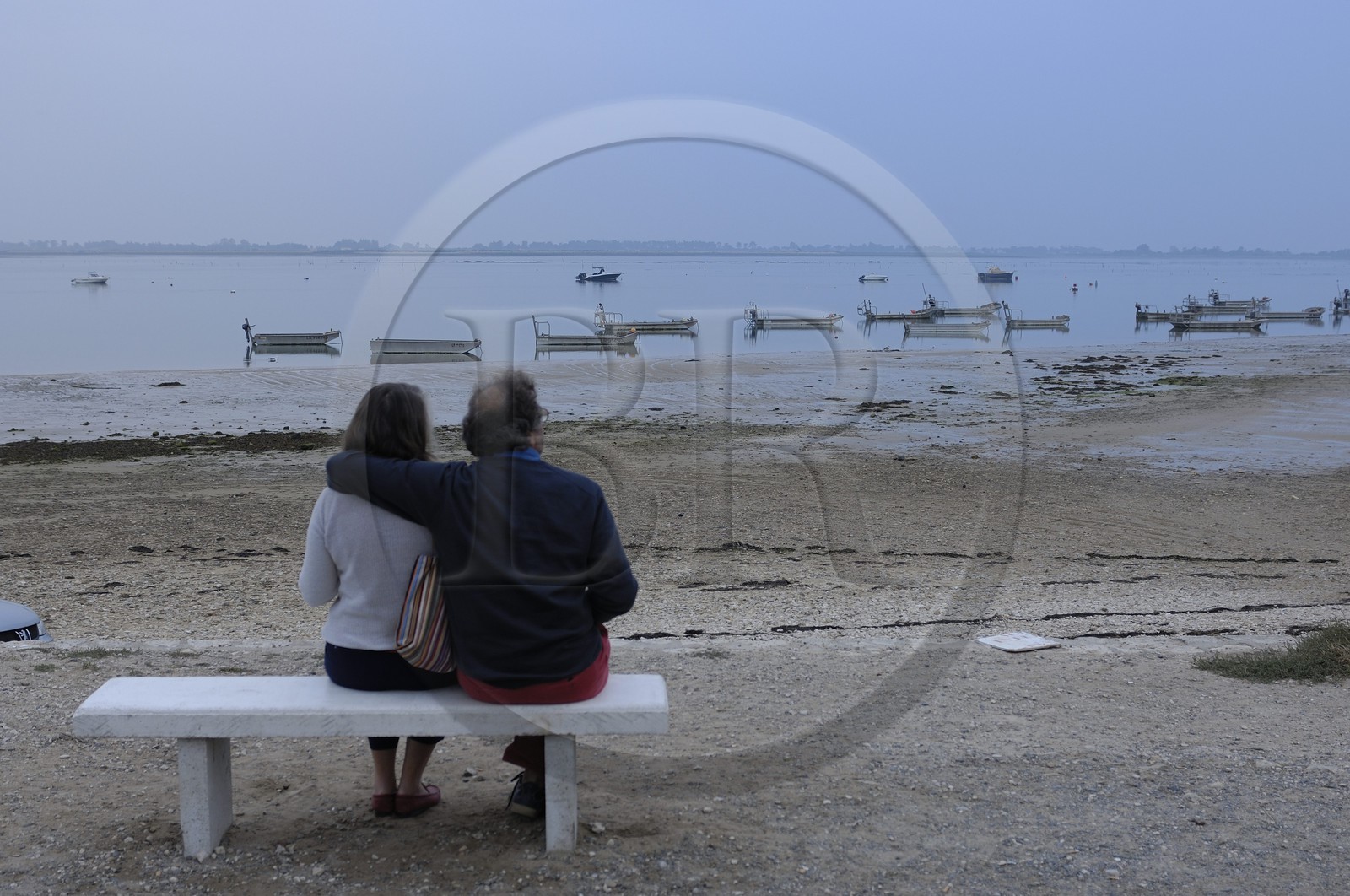France, Charente-Maritime (17), ile de Ré, le Fier d'Ars