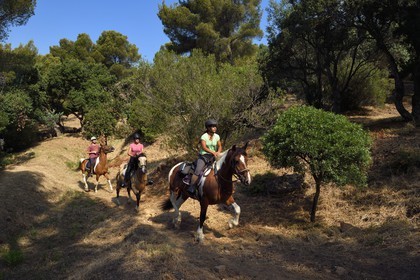 France, Var (83), Agay commune de Saint-Raphaël, cavaliers en randonnée dans le massif de l'Estérel