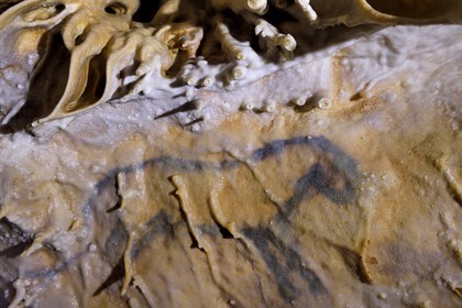 France, Dordogne (24), Périgord Vert, Villars, Grotte de Villars, dessin paléolithique au dioxyde de manganèse surnommé le Petit Cheval bleu datant d' environ 17000 ans (Magdalénien)