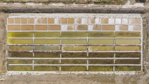 France, Charente-Maritime (17), Port-des-Barques, Ile Madame, la Ferme Aquacole de l'Ile Madame, Jean Philippe et Gaelle Mineau récoltent le sel de leur saline (vue aérienne)