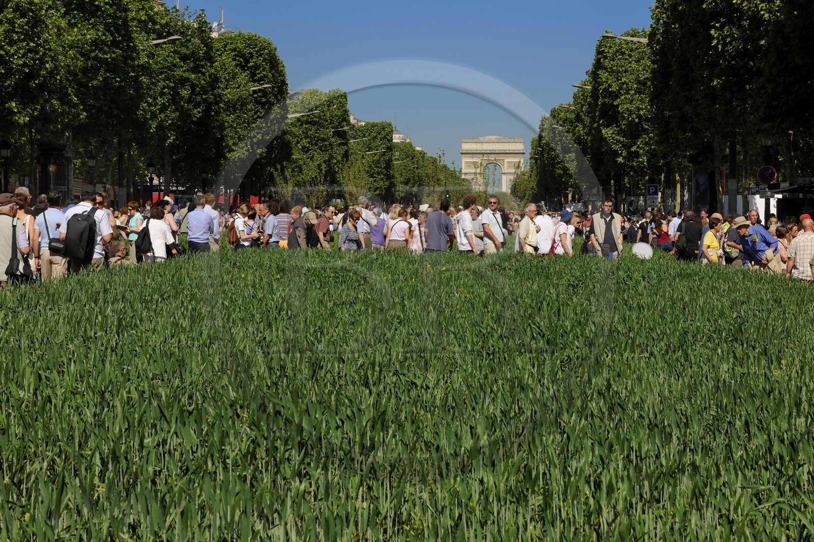 France, Paris (75), opération Nature Capitale 2010 sur les Champs-Elysées