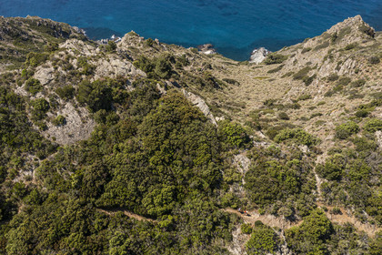 France, Var (83), Six-Fours-les-Plages, randonnée dans le massif du Cap Sicié, randonneurs sur le sentier des cretes de Roumagnan (vue aérienne)
