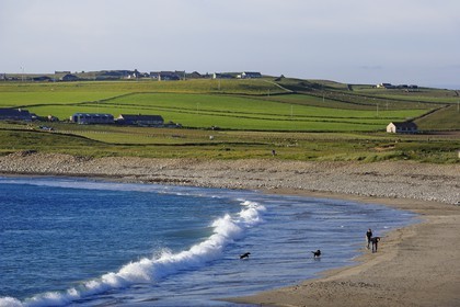 Royaume-Uni, Ecosse, Iles Orcades, Ile de Mainland, la Baie de Skaill à Skara Brae