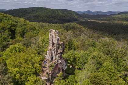 France, Bas-Rhin (67), Parc naturel régional des Vosges du Nord, Obersteinbach, foret domaniale de Steinbach, ruines du chateau de Lutzelhardt (vue aérienne)