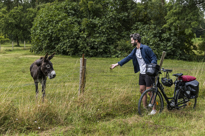 France, Deux-Sèvres (79), le Marais Poitevin, la Venise Verte, Coulon, randonnée à bicyclette, rencontre avec un âne