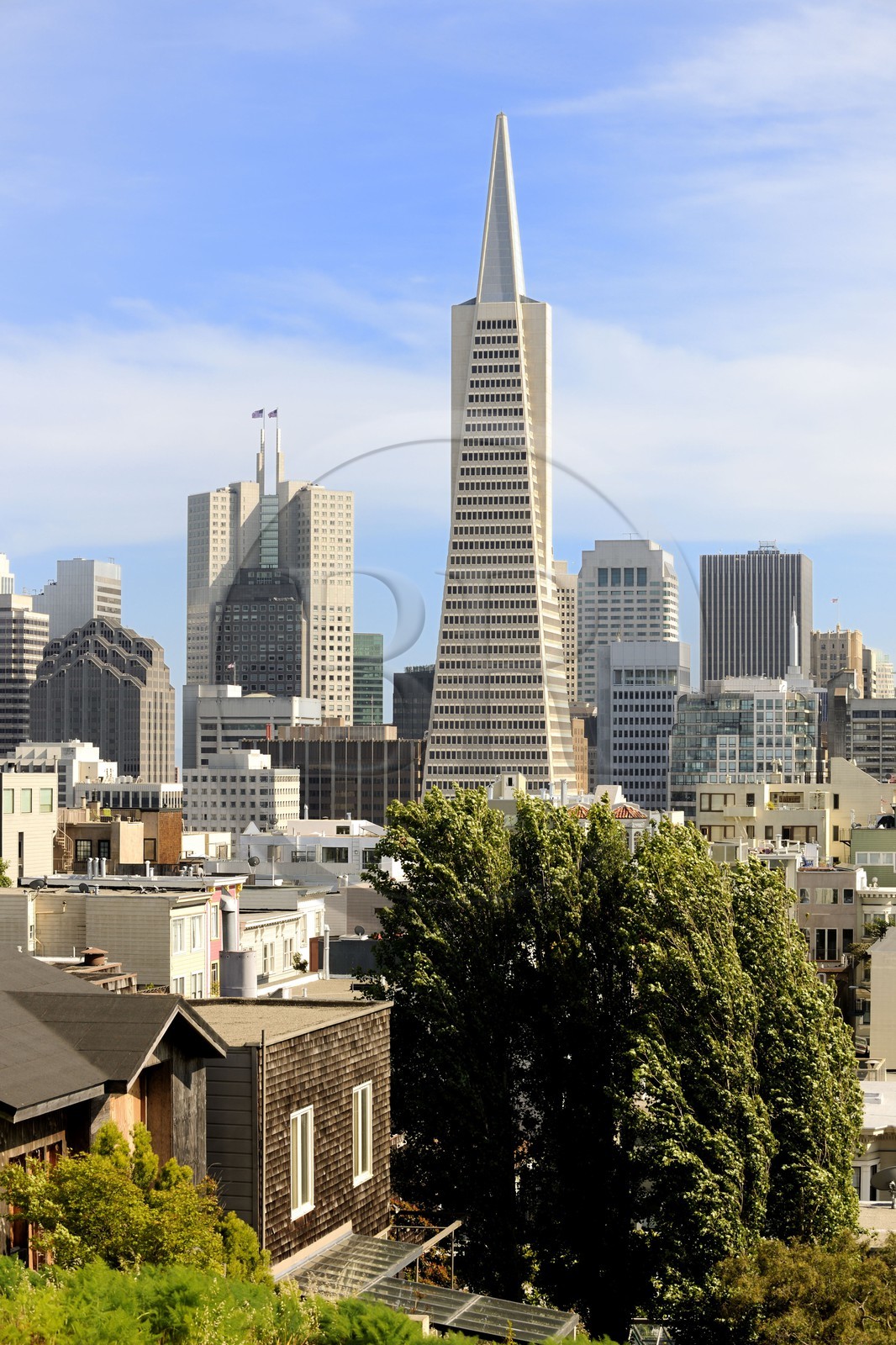 Etats-Unis, Californie, San Francisco, financial district, Transamerica Pyramid Building par l'architecte William Leonard Pereira
