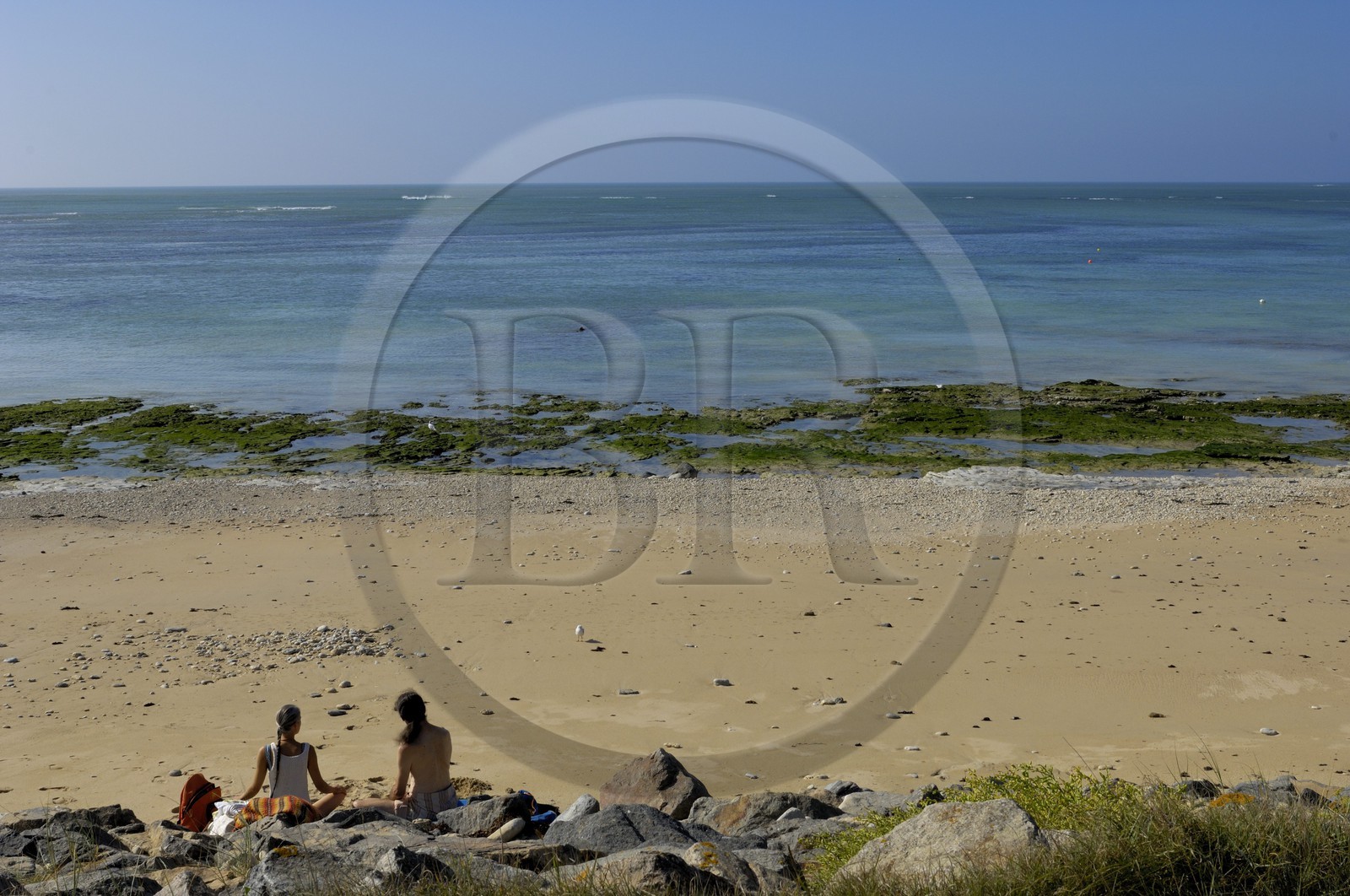 France, Charente-Maritime (17), ile de Ré, plage du Phare des Baleines