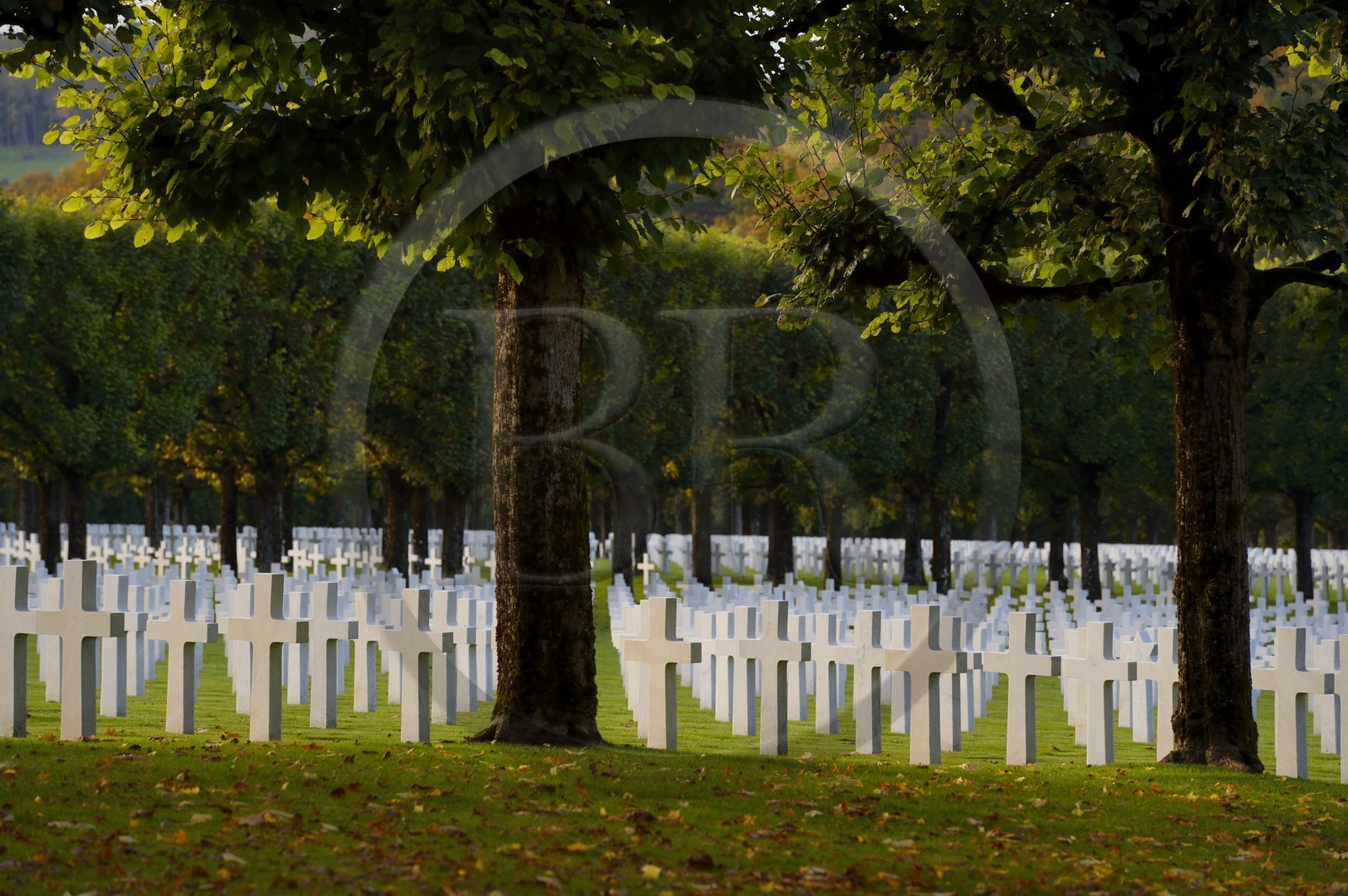 France, Meuse (55), le cimetière américain de Romagne-sous-Montfaucon, 14 246 américains ayant combattu lors de la Première Guerre mondiale y sont enterrés