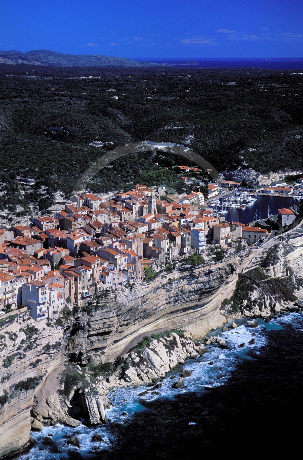France, Corse-du-Sud (2A), Bonifacio, la ville perchée sur les falaises (vue aérienne)