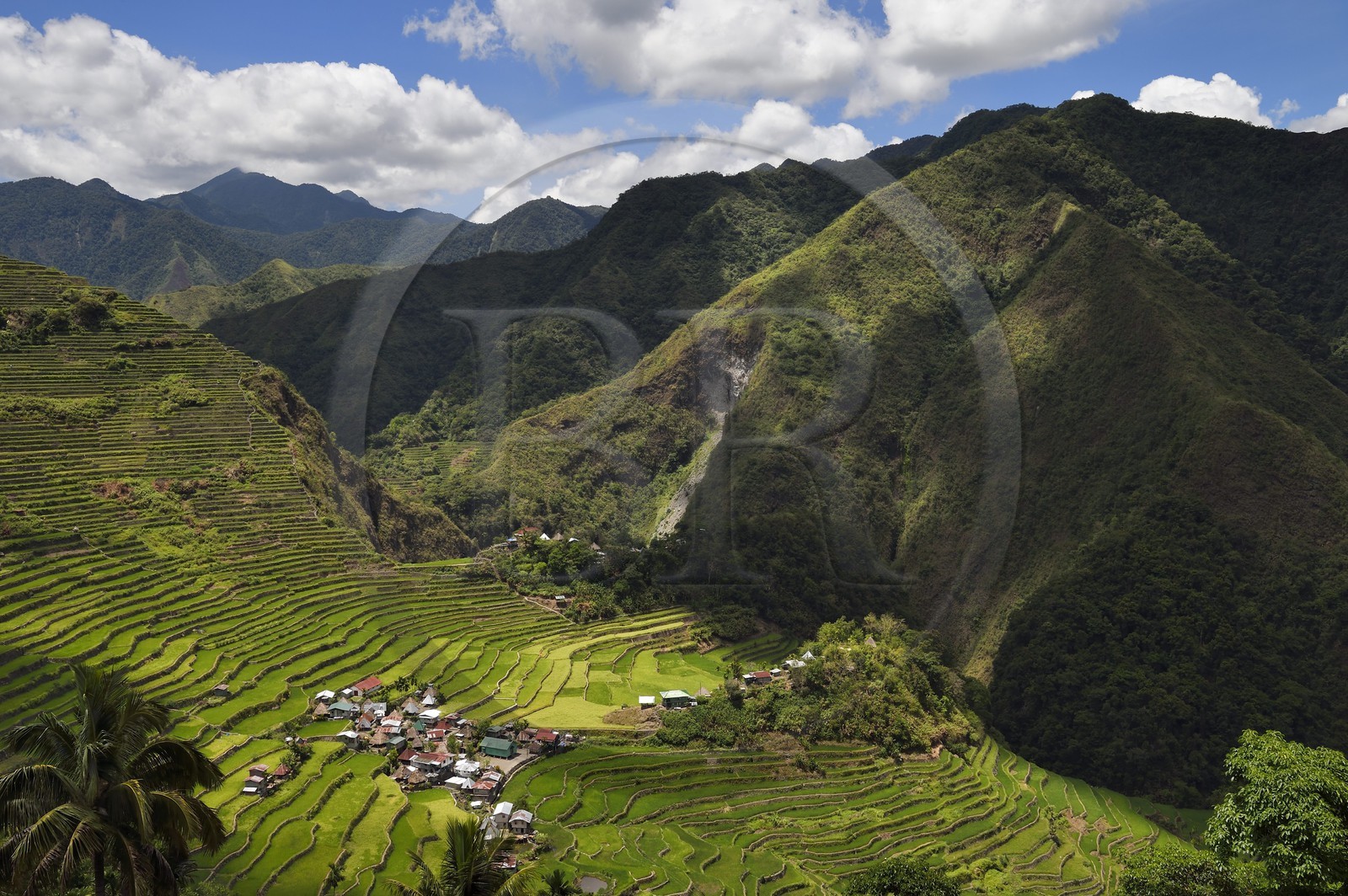 Philippines, province d'Ifugao, les rizières en terrasses de Banaue autour du village de Batad, classées Patrimoine Mondial de l'UNESCO, alimentées par un ancien système d'irrigation depuis la forêt tropicale au-dessus des terrasses